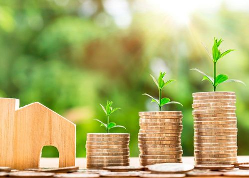 LIQUIDACIÓN DE IMPUESTOS